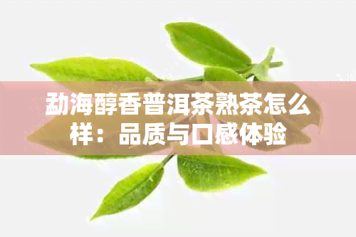 勐海醇香普洱茶熟茶怎么样：品质与口感体验