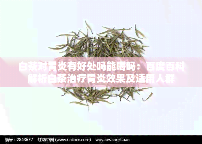 白茶对胃炎有好处吗能喝吗：百度百科解析白茶治疗胃炎效果及适用人群