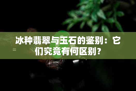 冰种翡翠与玉石的鉴别：它们究竟有何区别？