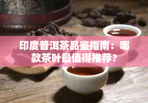 印度普洱茶品鉴指南：哪款茶叶最值得推荐？