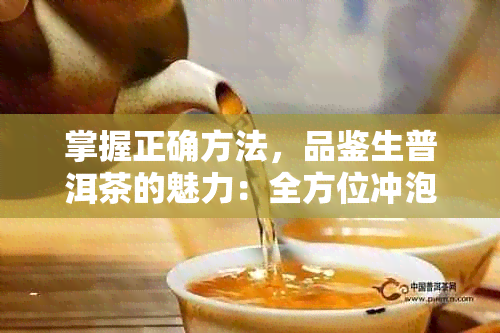 掌握正确方法，品鉴生普洱茶的魅力：全方位冲泡指南