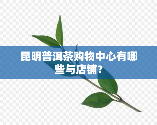 昆明普洱茶购物中心有哪些与店铺？