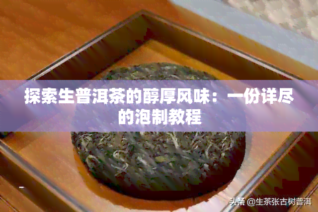 探索生普洱茶的醇厚风味：一份详尽的泡制教程