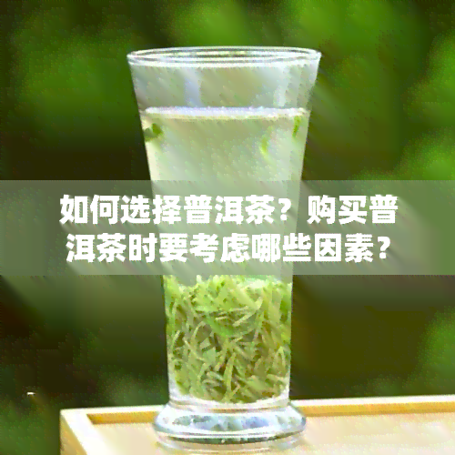 如何选择普洱茶？购买普洱茶时要考虑哪些因素？