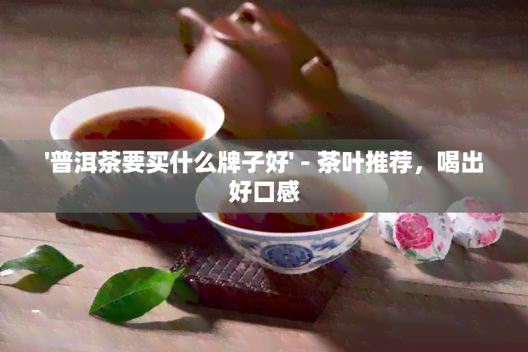 '普洱茶要买什么牌子好' - 茶叶推荐，喝出好口感