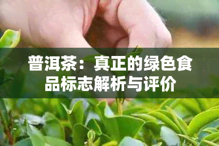 普洱茶：真正的绿色食品标志解析与评价