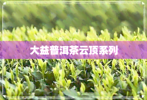 大益普洱茶云顶系列