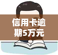 信用卡逾期5万元：起诉程序、时间及可能后果的全面解析