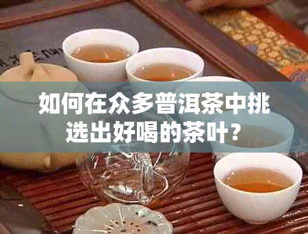 如何在众多普洱茶中挑选出好喝的茶叶？