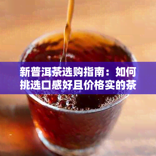 新普洱茶选购指南：如何挑选口感好且价格实的茶叶？