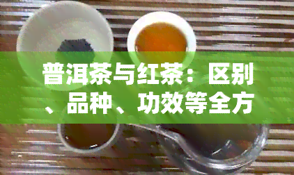 普洱茶与红茶：区别、品种、功效等全方位解析，助您挑选适合的茶叶