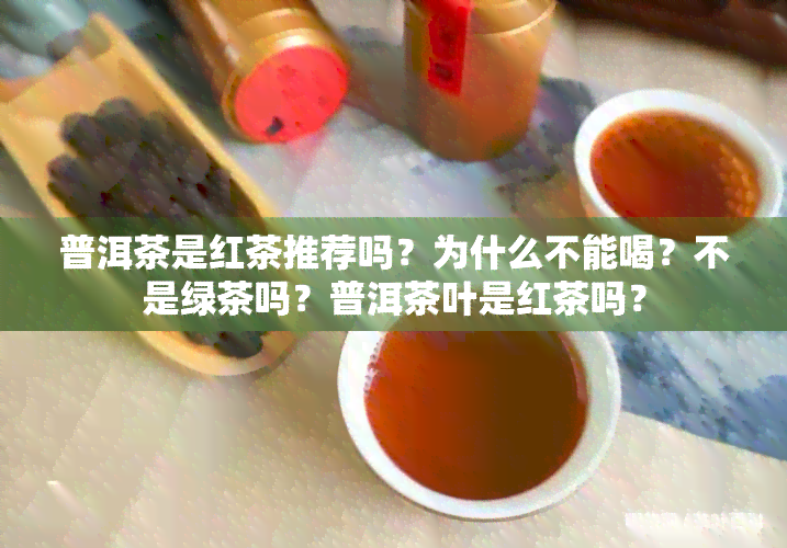 普洱茶是红茶推荐吗？为什么不能喝？不是绿茶吗？普洱茶叶是红茶吗？