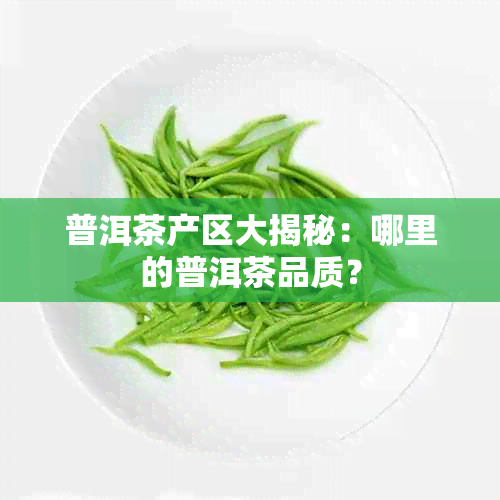 普洱茶产区大揭秘：哪里的普洱茶品质？