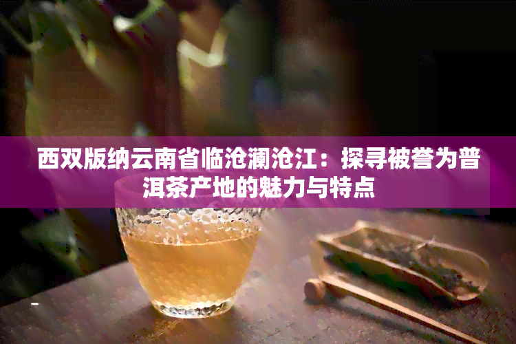 西双版纳云南省临沧澜沧江：探寻被誉为普洱茶产地的魅力与特点