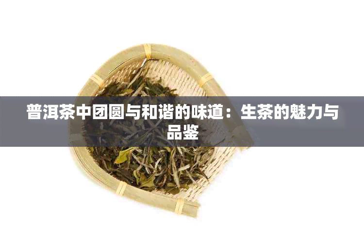 普洱茶中团圆与和谐的味道：生茶的魅力与品鉴