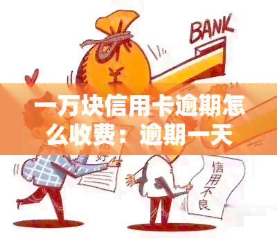 一万块信用卡逾期怎么收费：逾期一天费用是多少？