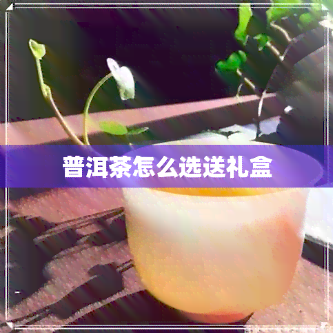 普洱茶怎么选送礼盒