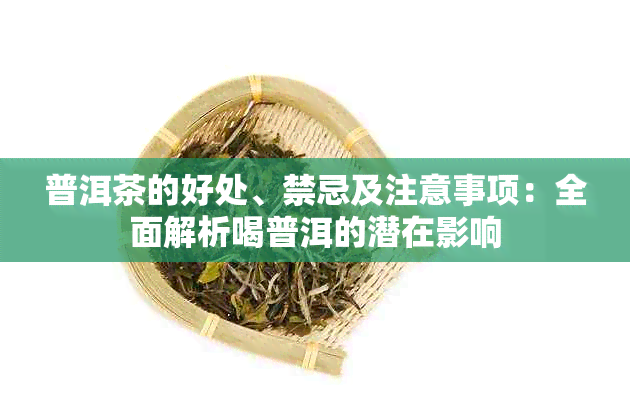 普洱茶的好处、禁忌及注意事项：全面解析喝普洱的潜在影响