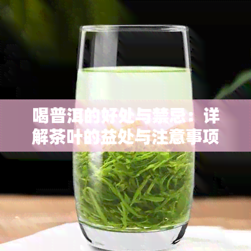 喝普洱的好处与禁忌：详解茶叶的益处与注意事项