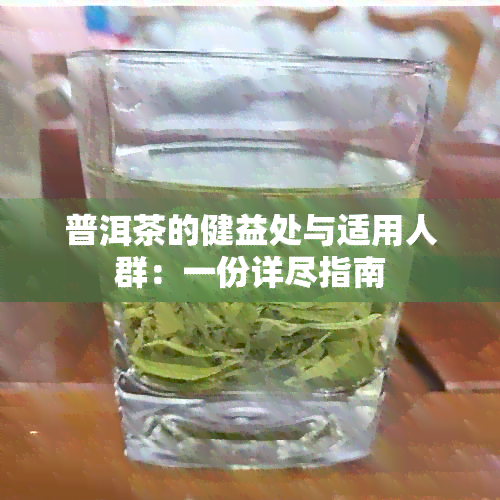 普洱茶的健益处与适用人群：一份详尽指南