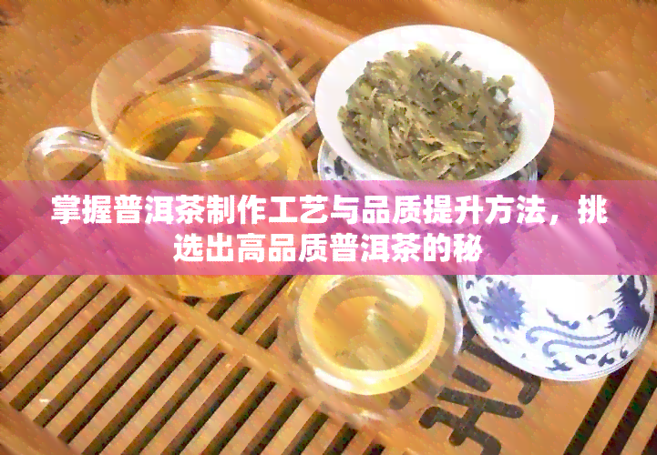 掌握普洱茶制作工艺与品质提升方法，挑选出高品质普洱茶的秘