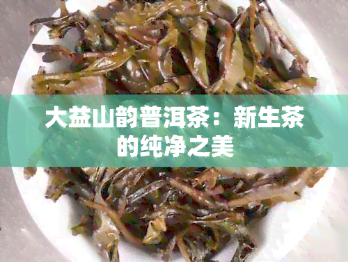 大益山韵普洱茶：新生茶的纯净之美