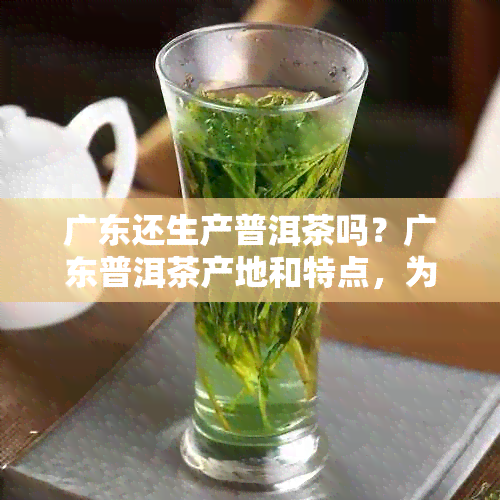 广东还生产普洱茶吗？广东普洱茶产地和特点，为什么便宜？