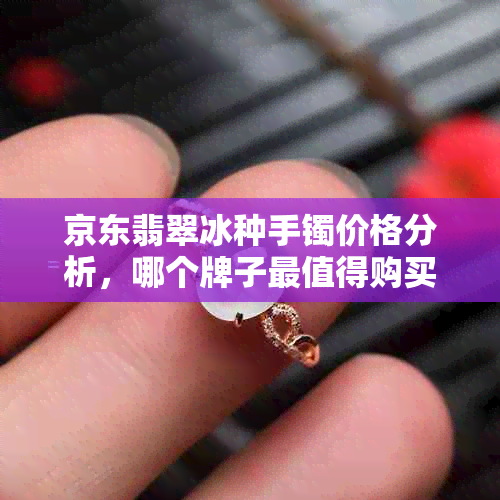 京东翡翠冰种手镯价格分析，哪个牌子最值得购买？