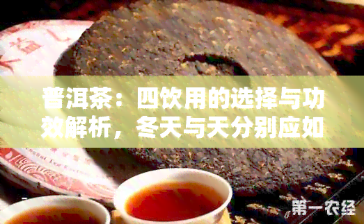 普洱茶：四饮用的选择与功效解析，冬天与天分别应如何品鉴？