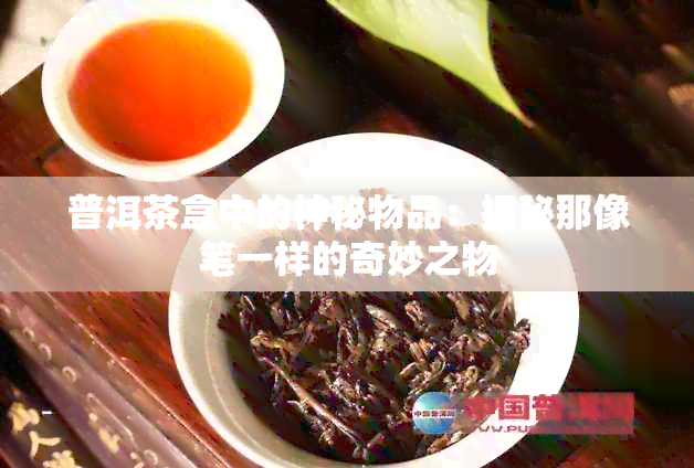 普洱茶盒中的神秘物品：揭秘那像笔一样的奇妙之物