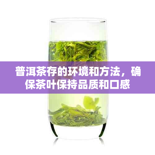 普洱茶存的环境和方法，确保茶叶保持品质和口感