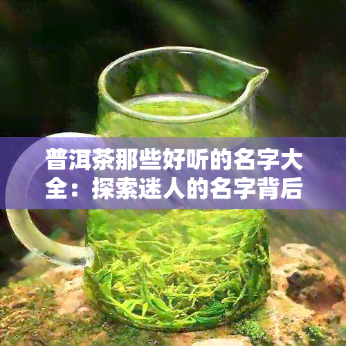 普洱茶那些好听的名字大全：探索迷人的名字背后的故事