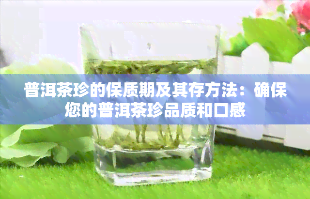 普洱茶珍的保质期及其存方法：确保您的普洱茶珍品质和口感