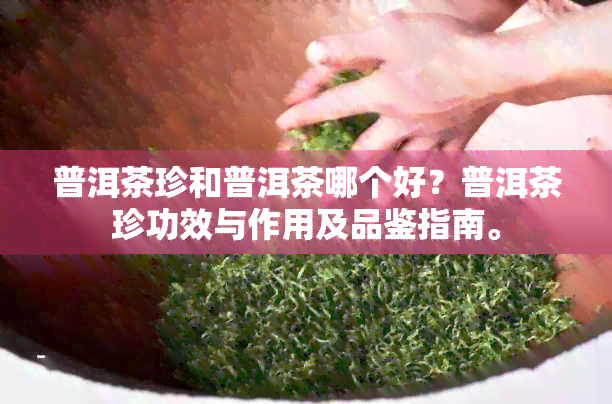 普洱茶珍和普洱茶哪个好？普洱茶珍功效与作用及品鉴指南。