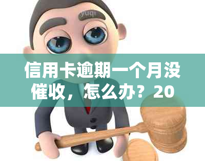 信用卡逾期一个月没，怎么办？2021年信用卡逾期一个月的影响及处理方法