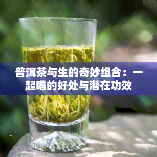 普洱茶与生的奇妙组合：一起喝的好处与潜在功效