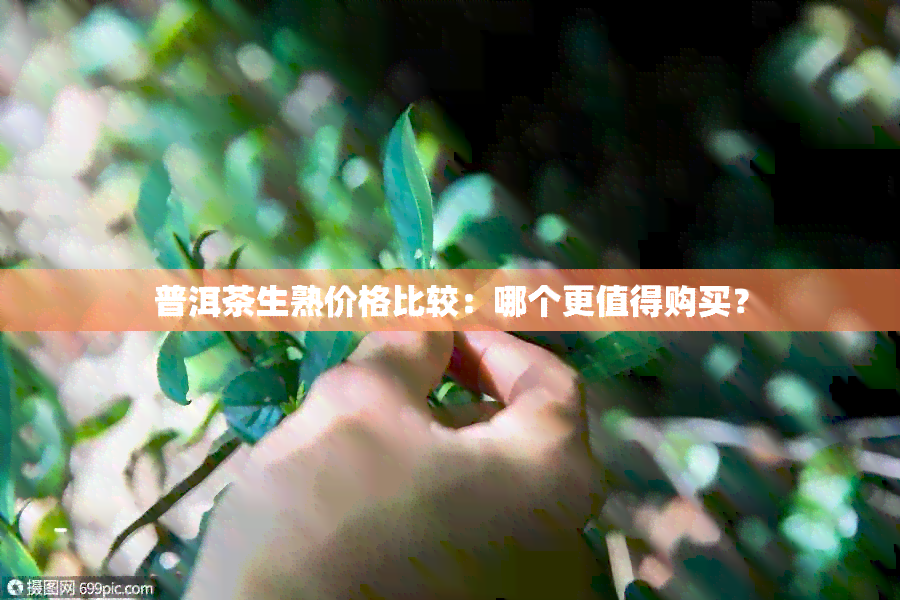 普洱茶生熟价格比较：哪个更值得购买？