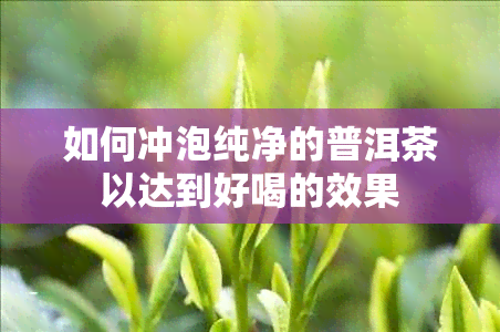 如何冲泡纯净的普洱茶以达到好喝的效果