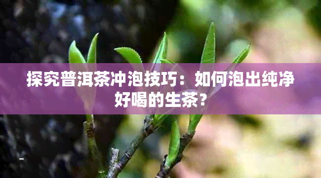 探究普洱茶冲泡技巧：如何泡出纯净好喝的生茶？