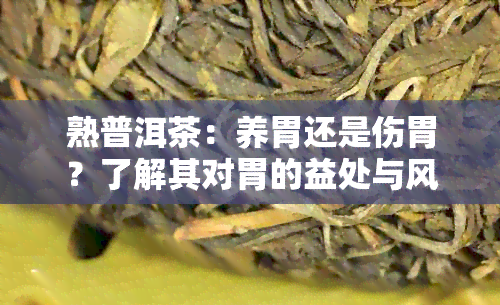 熟普洱茶：养胃还是伤胃？了解其对胃的益处与风险