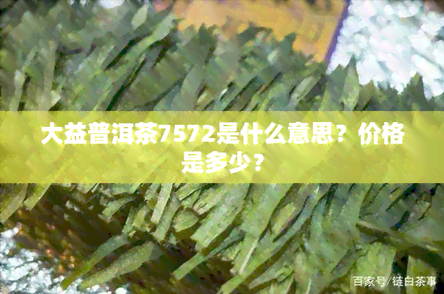 大益普洱茶7572是什么意思？价格是多少？