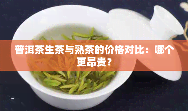 普洱茶生茶与熟茶的价格对比：哪个更昂贵？