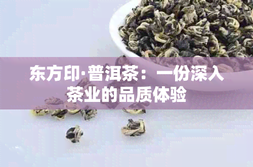 东方印·普洱茶：一份深入茶业的品质体验