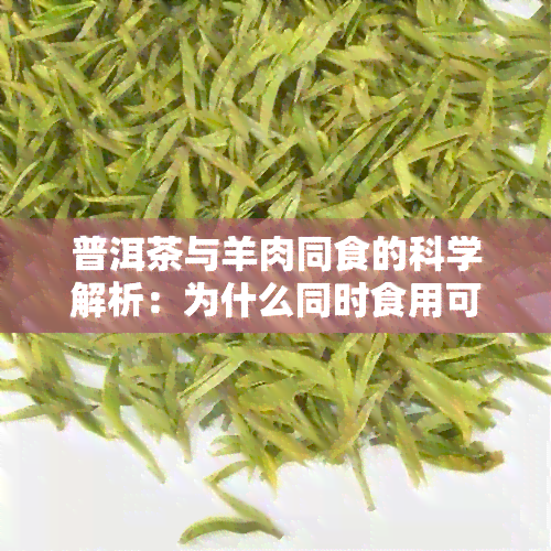 普洱茶与羊肉同食的科学解析：为什么同时食用可能引发不适？