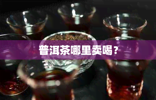 普洱茶哪里卖喝？