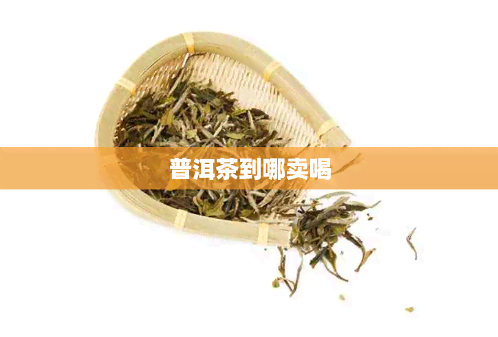 普洱茶到哪卖喝