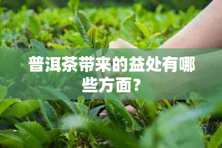 普洱茶带来的益处有哪些方面？