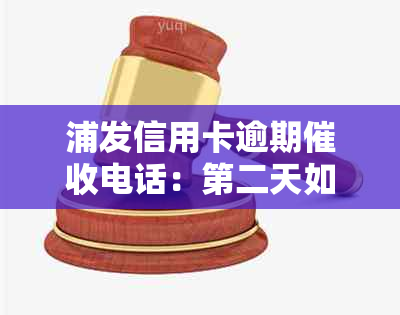 浦发信用卡逾期电话：第二天如何应对？逾期后果及解决方案全面解析