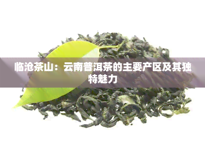 临沧茶山：云南普洱茶的主要产区及其独特魅力