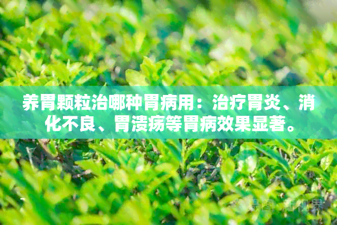 养胃颗粒治哪种胃病用：治疗胃炎、消化不良、胃溃疡等胃病效果显著。